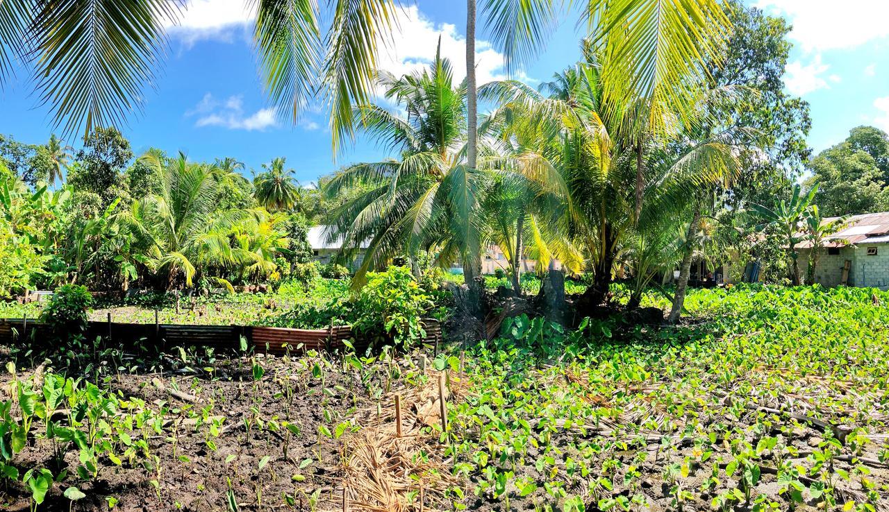Veyli Residence Maldives, Fuvahmulah Addu City Ngoại thất bức ảnh